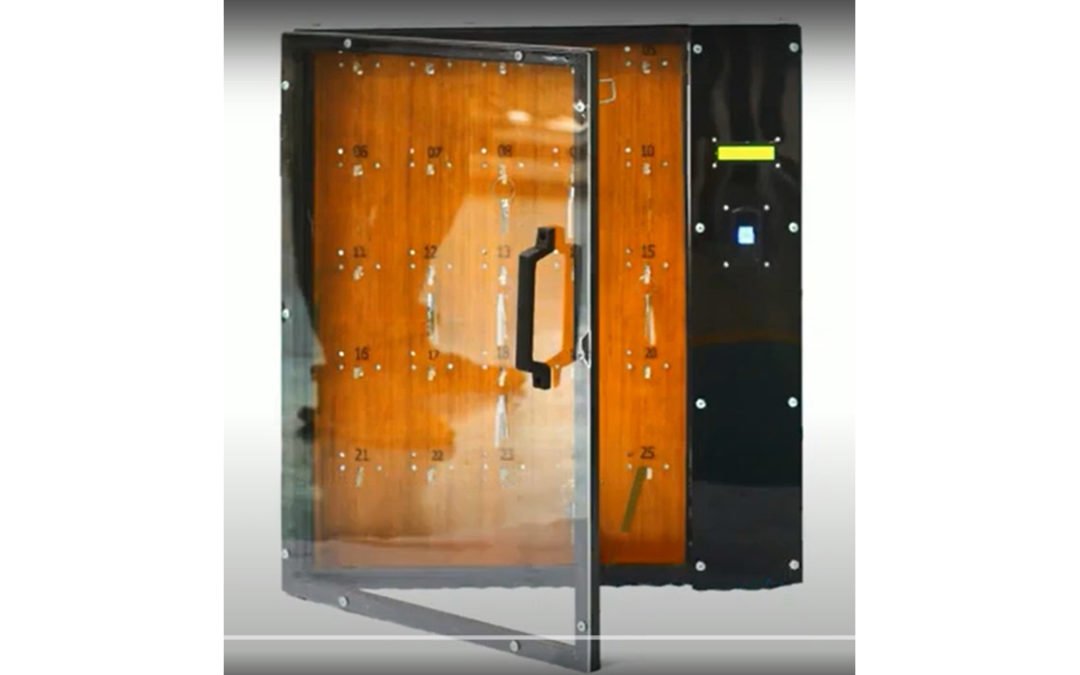 Biometric Key security system