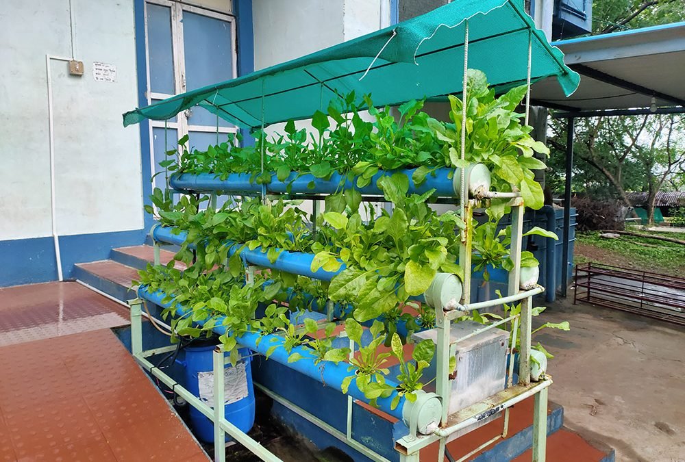 Hydroponics