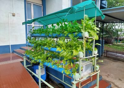 Hydroponics