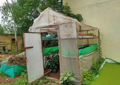 Urban Farming Kitchen Garden