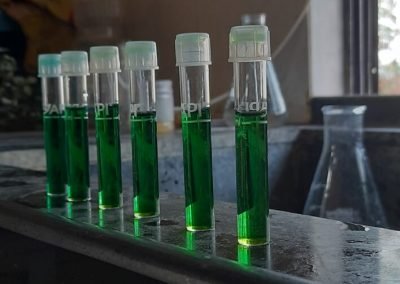 Urine Wastewater Treatment