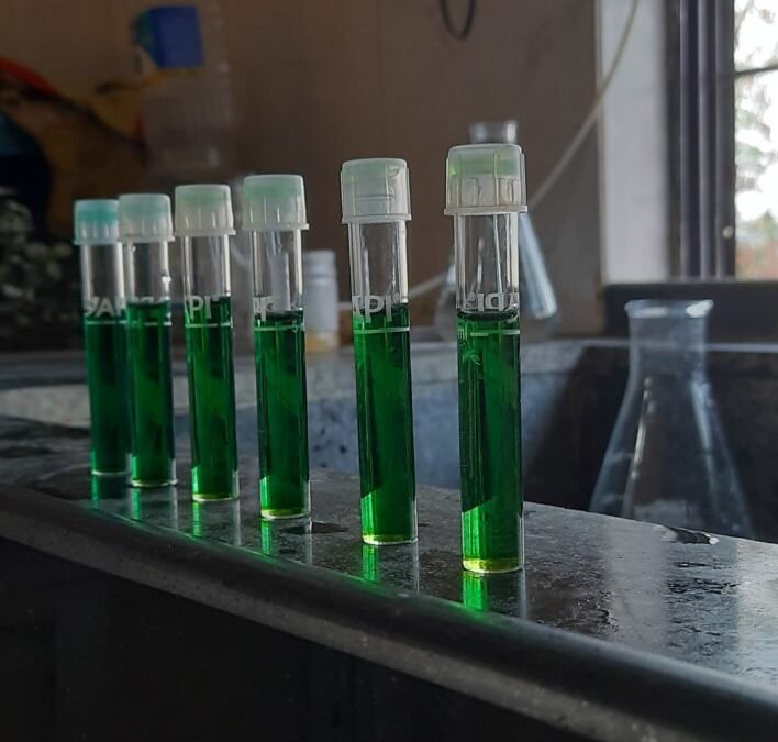 Urine Wastewater Treatment