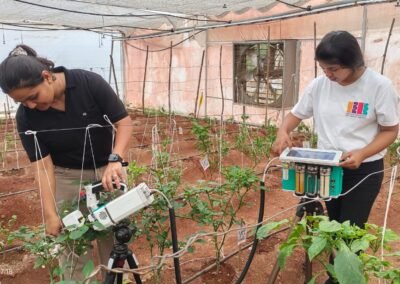 Agrivoltaic Farming