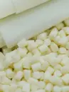 Microbial consortium for Biodegradable Plastic