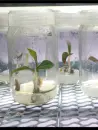 Soil & Water Testing