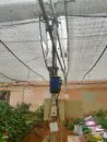 Polyhouse Curtain Automation