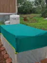 tunnel farming